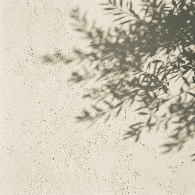 Calm, peaceful environment for mental wellbeing